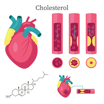 Cholesterol vector flat style design isolated illustration