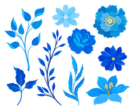 Set Of Images Of Blue Flowers And Leaves. Vector Illustration On White Background.