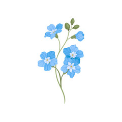Five small blue flowers on a branch. Vector illustration on white background.