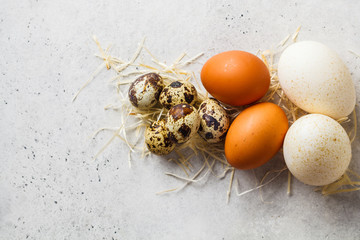 Turkey, quail and chicken eggs on hay on gray background, top view.