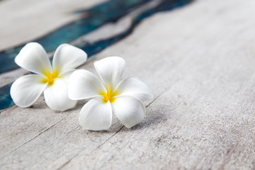 Naklejka na ściany i meble Plumeria flowers on wooden textured background with blue glass. Place for text.