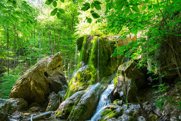 Waterfall in the forest