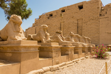 Sphinx-lined road in Luxor, Egypt