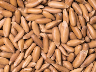 Pine nuts on white background