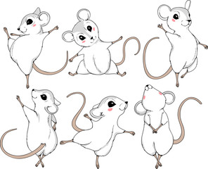 Grey little mice