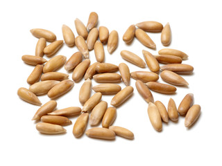 Pine nuts on white background