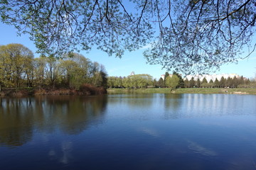 sky, spring, lake, trees