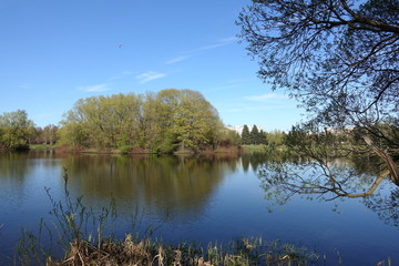 sky, spring, lake, trees
