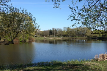 sky, spring, lake, trees