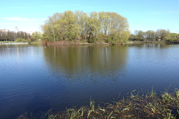 sky, spring, lake, trees