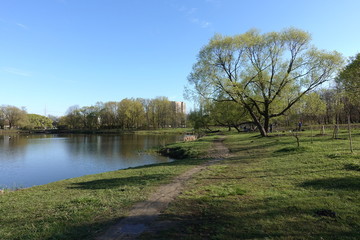 Fototapeta na wymiar sky, spring, lake, trees