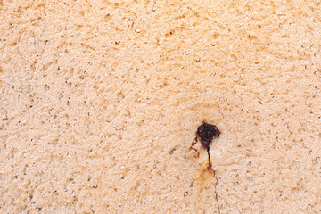 Chipped wall