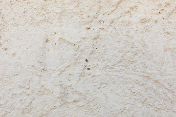 Cement wall with paint