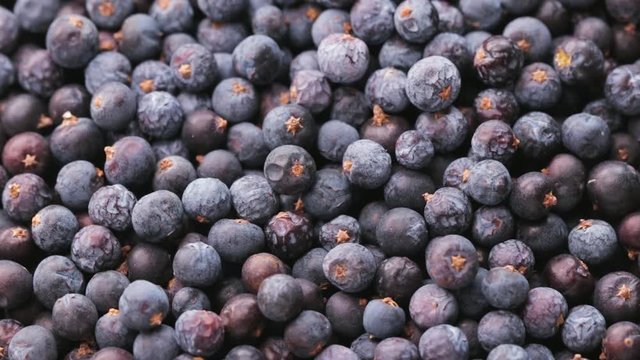  Rotating Dried Juniper Berries, Close-Up