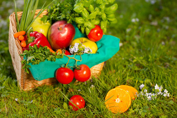 A wonderful wicker basket with vegetables and fruits on the background of green grass