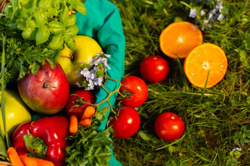 Fresh organic vegetables in wicker basket in the garden. Top view
