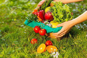 Female hands holding wicker basket with vegetables and fruits, close up