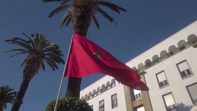 Moroccan flag waving under palm trees in front of colonial buildings in Rabat Morocco