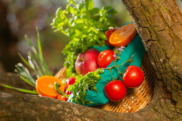 Fresh organic vegetables in wicker basket in the garden on a tree