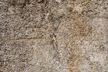 Dirty cement wall t