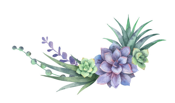 Watercolor vector wreath of cacti and succulent plants isolated on white background.