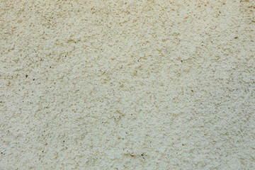 Cement wall with paint