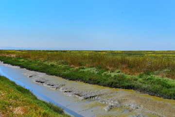 Hayward Shoreline