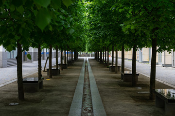 hady alley with benches in the center of Berlin. Germany.