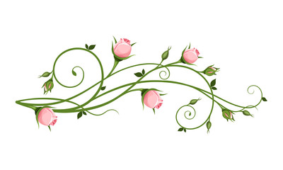 Vector decorative design element with pink rosebuds isolated on a white background. - obrazy, fototapety, plakaty