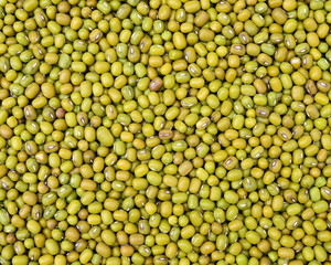 Mung beans background texture, background pattern