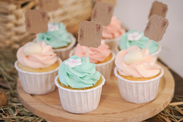cupcakes and cookies in pink and turquoise colors