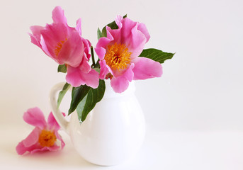 Obraz na płótnie Canvas Peony flowers in a white vase on white background with copy space for greeting message. Spring flowers. Spring background. Valentine's Day and Mother's Day background