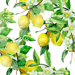 Seamless Pattern lemon on white and color background.