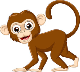 Cute baby monkey on white background © tigatelu