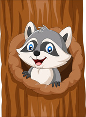 Cartoon raccoon sitting in hollow of a tree