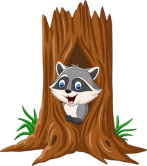 Cartoon raccoon sitting in hollow of a tree © tigatelu