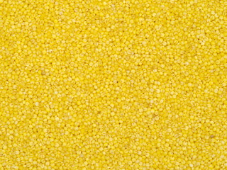 Millet yellow background