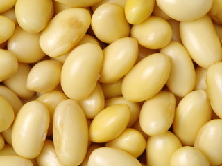 soybean background