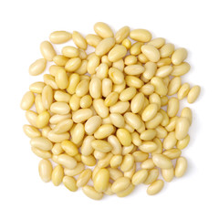 soybean isolated on white background