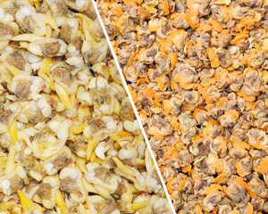 Fresh boiled cockle meat background