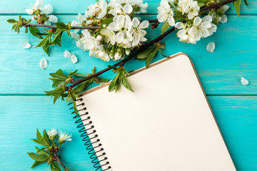 Spring blossom cherry branches and notebook on blue wooden background.