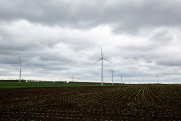 wind turbines in the field