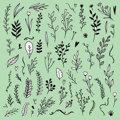 black line plant bundle 