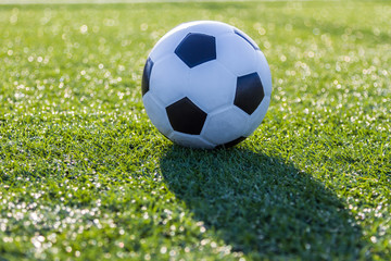 Soccer football on green grass