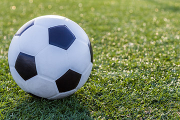 Soccer football on green grass