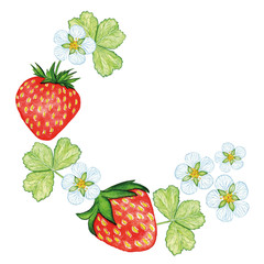 Arrangement watercolor strawberry. Bio sweet fruit.