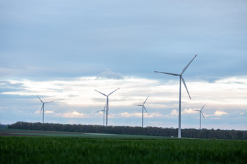 wind turbines in the field