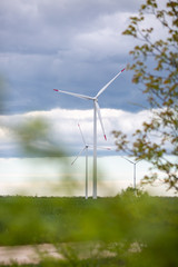 Fototapeta na wymiar wind turbines in field