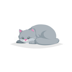 Cute gray cartoon cat sleep. Domestic relaxing farm animal. Pet drawing. Flat comic style. Ideal for education. Vector illustration isolated on white background.