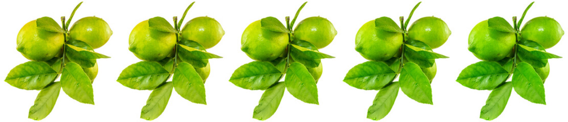 Grappes de citrons verts